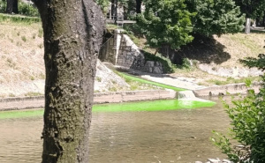 Otkriven razlog fluorescentne boje Miljacke: Oglasila se Općina Novo Sarajevo