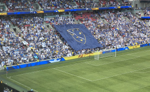 Najemotivniji trenutak: Više od 20.000 bh. navijača pjevalo "Ljiljane" na stadionu