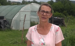 Vesna uzgaja najskuplje paprike na svijetu: Kilogram košta 20.000 dolara