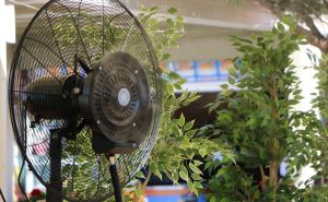 Kako rashladiti dom bez klima-uređaja: Uradite jednu stvar sa ventilatorom