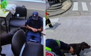 Po prvi put u BiH: Potražni psi i vatrogasci demonstrirali potragu i spašavanje nestalog učenika