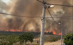 Novi detalji požara kod Mostara: Vatra došla do kuća, još uvijek traje akcija gašenja