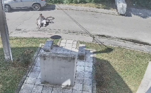 Video koji je zgrozio Sarajevo:Određen pritvor razbojnika koji je napao i opljačkao ženu na Dobrinji