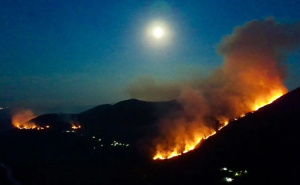Veliki šumski požar kod Trebinja: Vatrogasci se bore sa vatrom