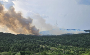 U plamenu je više od 20 hektara: Još jedan veliki požar u BiH, tražit će se pomoć Oružanih snaga