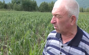 Sanski Most pogodilo veliko nevrijeme i nanijelo nesagledivu štetu za poljoprivrednike