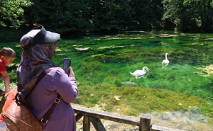 Nedjeljno popodne u Sarajevu: Građani uživaju u hladovini i zelenilu Vrela Bosne