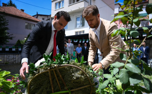 Lijepa vijest iz Sarajeva: U Aleji ambasadora zasađena 251. lipa kao simbol saradnje BiH i Alžira