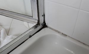 Riješite se plijesni na silikonskim fugama: Ne morate raditi ništa zahtjevno