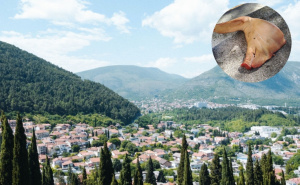 Sramotan čin: U Liska haremu u Mostaru ostavljena svinjska glava