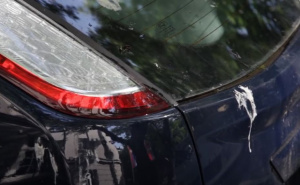 Uklonite ptičiji izmet s automobila: Savjeti za očuvanje laka