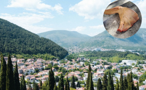 Svinjska glava u Liska haremu: Fašizam je ponovo pokazao svoje lice