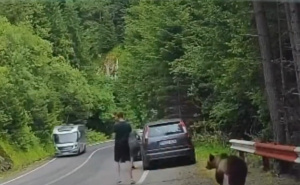 Dramatičan susret: Turistu se medvjed prikrao s leđa, snimak iz Rumunije obišao društvene mreže