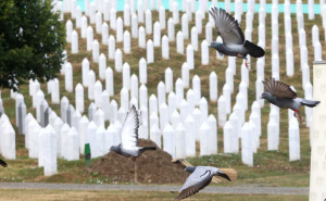 Policija danas saslušala još 4 osobe povezane s Memorijalnim centrom Srebrenica: Na spisku ukupno 26