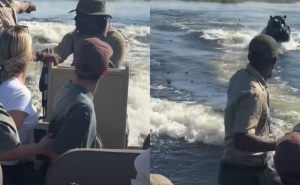 Jeziv snimak: Nilski konj krenuo za čamcem punim turista, nastala opšta panika
