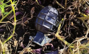 Drama u Brčkom: U saksiji na mostu pronađen predmet, sumnja se na bombu