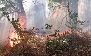 Konjic se danima bori s požarima: Vatrogascima ponestaje vode, presušuju i privatni rezervoari