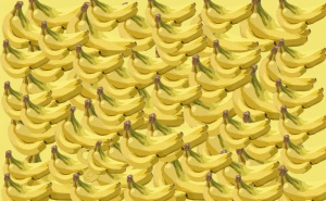 Ako imate visok IQ, uočit ćete je odmah: Možete li pronaći životinju među bananama?