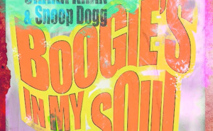 Chaka Khan - Boogie's In My Soul (Feat. Snoop Dogg)