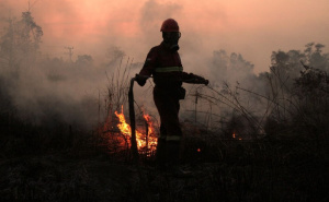 Njemačka strahuje od požara: Suša i visoke temperature stvaraju sve veću prijetnju