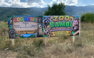 ZOO Bambi obradovao objavom: "Raja, imamo za Vas bitne i prelijepe vijesti!"