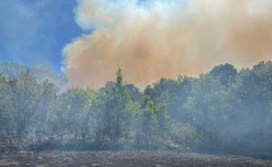Alarmantno u Zvorniku: Požar se spušta i prijeti kućama, vatrogasci na terenu