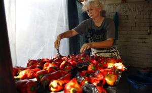Najbolji recept za domaći ajvar: Na 5 kilograma paprika ide ova količina ulja i sirćeta