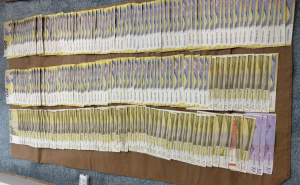 MUP KS o akciji Catering: Uhapšeno devet osoba, pronađeno devet pištolja i više od 1,4 kg droge