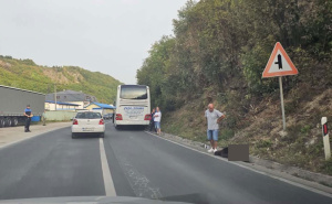 Neobična nesreća kod Travnika: Minibus udario mladunče medvjeda, životinja stradala