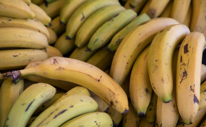Kako očuvati okus banana: Održite ih svježima bez napora
