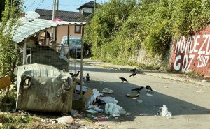 Foto kritika: Centar Sarajeva između kontejnera, smeća i vrana