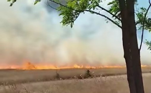 Požar na Hrasničkom polju, vatrogasci na terenu