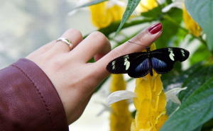 Jesenja inspiracija: 9 glavnih trendova za nokte u septembru