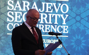Helez: "Europa je pred složenijim sigurnosnim izazovima, BiH u tome vidi i priliku"