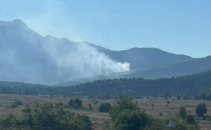 I dalje aktivan požar kod Bosanskog Grahova: Vatra se proširila na dva lokaliteta
