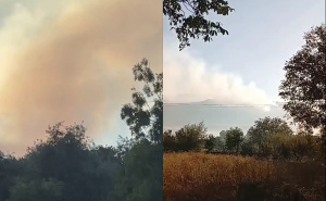 Bihać traži pomoć OSBiH zbog požara na Plješevici: Četiri puta slali zahtjev za angažman helikoptera