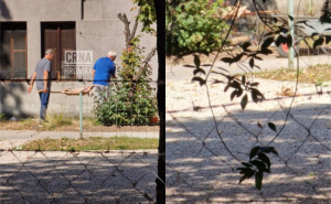 Sramotno: U Botaničkoj bašti Zemljskog muzeja u Sarajevu okretali prase na ražnju