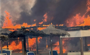 Požar na jednoj od najpopularnijih plaža u Crnoj Gori: Buktinja guta sve pred sobom