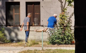 Zemaljski muzej BiH šokiran nakon novog snimka okretanja ražnja: "Mora se hitno reagovati"