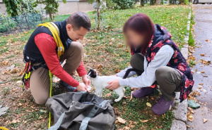 Svaka čast, ljudi: GSS Zenica spasio macu koja je 3 dana bila na drvetu
