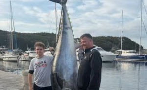 Ulov života: Pogledajte grdosiju od 215 kg koju je izvukao ribar na Jadranu