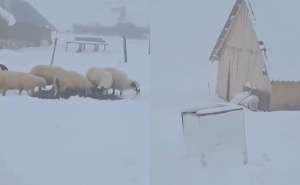 Preskočili smo jesen i 'upali' u zimu: Snijeg zabijelio planine, temperature naglo pale