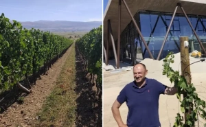Lijepa priča iz BiH: Niko nije vjerovao da će uspjeti, a on stvorio najneobičniji vinograd u Europi