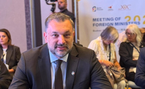 Konaković pred EU otvorio pitanje Mladića i Dodika, pa žestoko odgovorio srbijanskom ministru