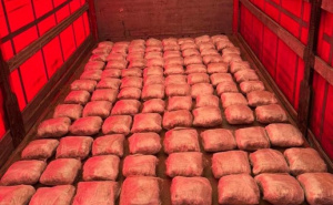 Policijska akcija "KAMEN" u BiH: Oduzeto 100 kilograma droge, uhapšen 46-godišnjak