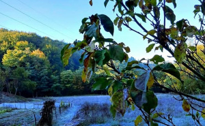 Prizori kao usred zime: Mraz zabijelio tlo, temperatura pala na minus šest stepeni