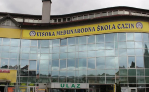 Godinu dana zatvora za prof. Hadžigrahić: Upisivala studentima da su položili iako nisu ni došli