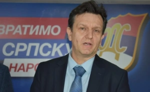 Karadžićeva Srpska demokratska stranka između raskola i opstanka nakon izbornog poraza