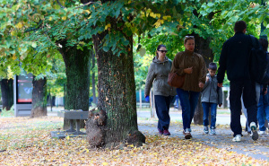 Kakvo će nam vrijeme biti do 6. novembra? Meteorolozi saopćili kad očekuju nove padavine