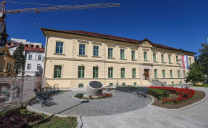 Nevjerovatan propust ljekara u susjedstvu: Pacijentici greškom odstranjen želudac i drugi organi